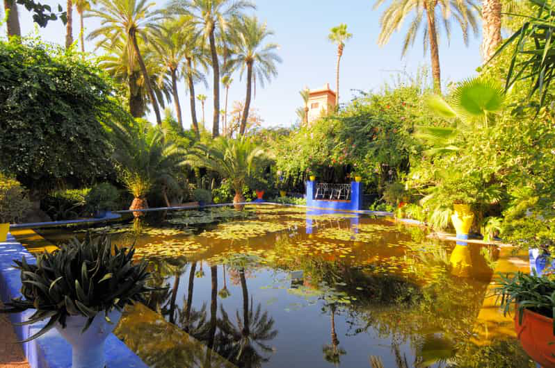 Jardin Majorelle, Marrakech